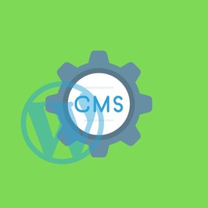 WordPress Development